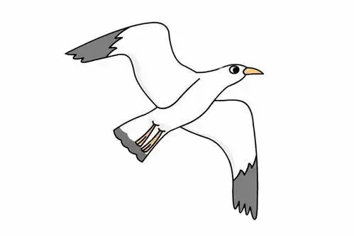 海鸥简笔画 海鸥简笔画图片大全
