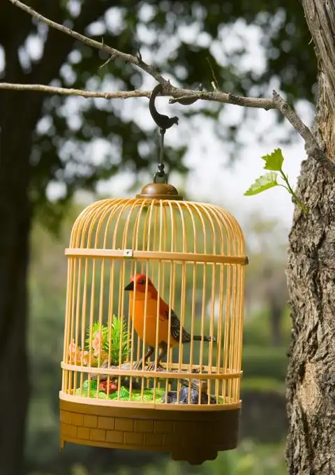 供应507声控感应仿真鸟带鸟笼 声控鸟价格 声控鸟批发