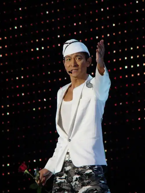 活动照片-always刘德华中国巡回演唱会2013·北京站