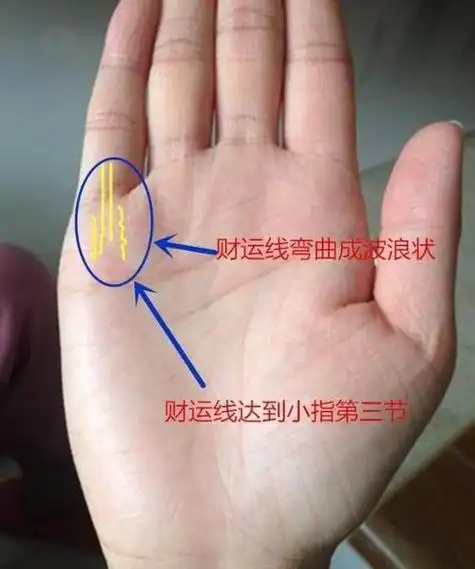 财运线又叫做成功线有这个手纹的女人一辈子都非常顺利有当商人的赋