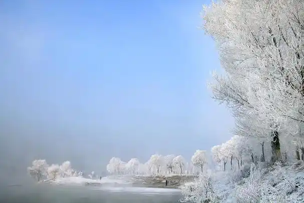 就像冬日里大自然送给我们的一件艺术品.