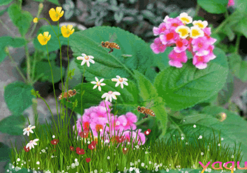 一群群飞舞的蜜蜂