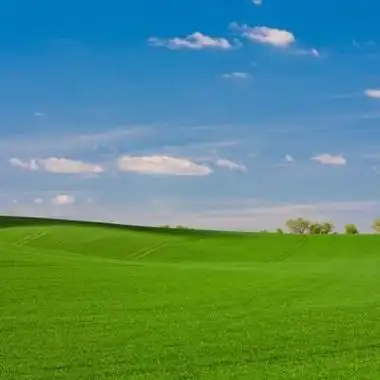 以上是关于大自然绿草地风景的文章由美头整理发布风景头像频道