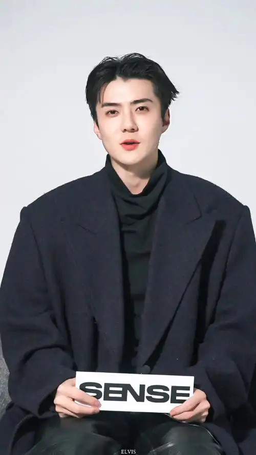 吴世勋说中文不烫嘴##吴世勋sense冬日浪漫大片