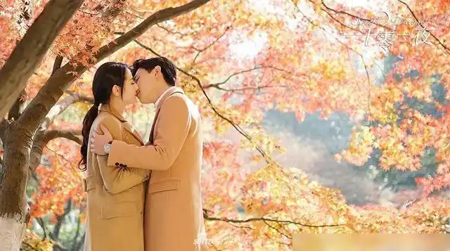 演员邓伦所有的影视作品你也最爱第七部吗