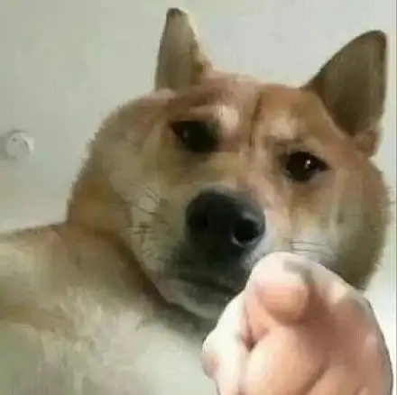 沙雕牛里牛气表情包