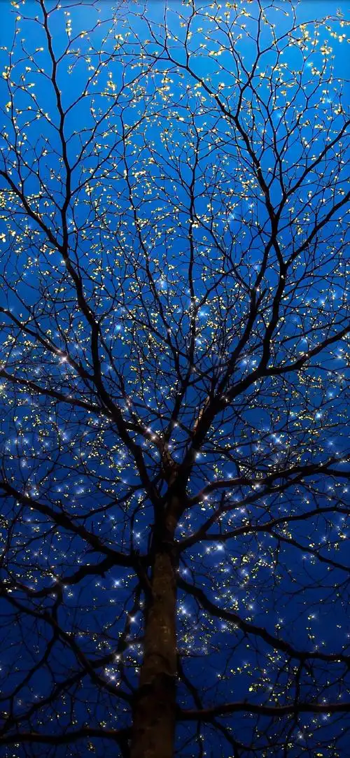 壁纸##简约无水印壁纸##全屏壁纸