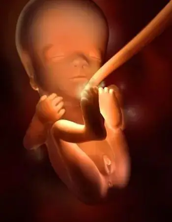 孕妇四维彩超图片140周胎儿发育过程图太震憾了