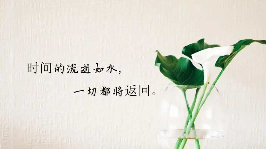 时光匆匆流逝的说说配图