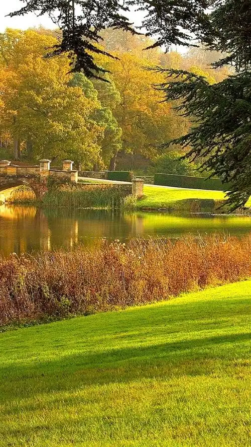 花园,草坪,树木,草地,池塘,长椅,秋