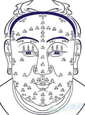 女痣面相图解大全看面相大全图解