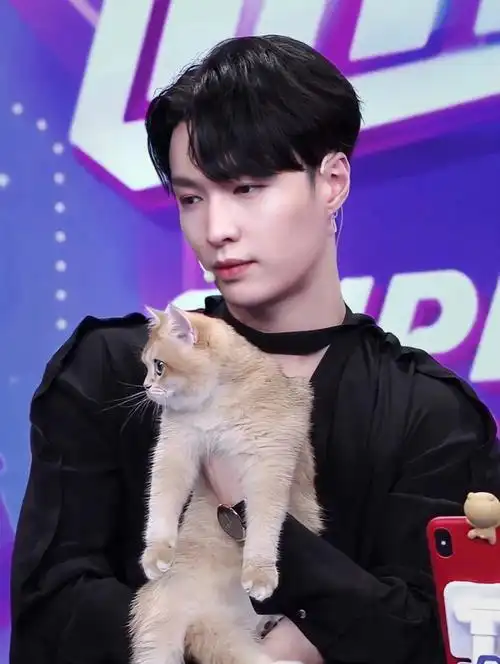 想做张艺兴怀里的小奶猫