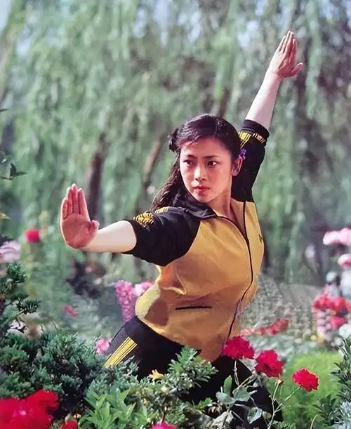 黄秋燕个人资料图片(黄秋燕和李连杰为什么会离婚)-趣事杂谈