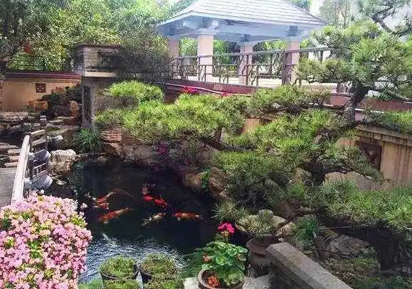 39个庭院池塘设计案例值得收藏