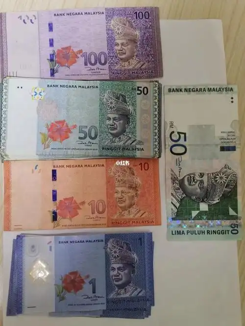 救命马来西亚的钱摸起来好舒服01
