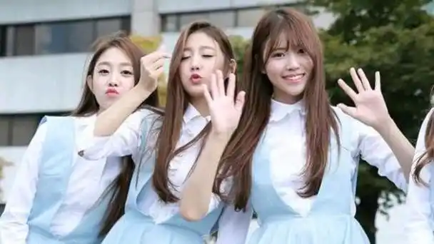 韩国女团解散后成员们各自展翅高飞徐智秀选择工人引发热议