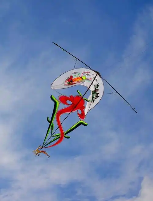 "上天"灵动飘逸,"落地"精致美观,阳江风筝玩出新花样_腾讯新闻