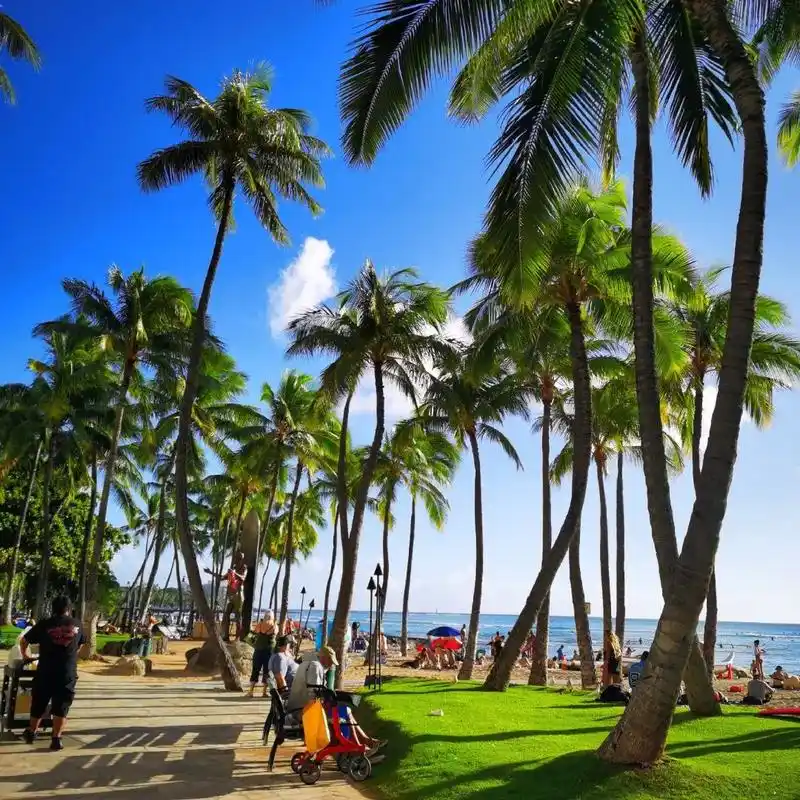 夏威夷,机场就各种热带风情,*各种 - 抖音