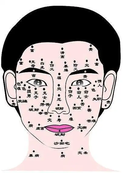 男人眉毛长痣面相图解_智慧