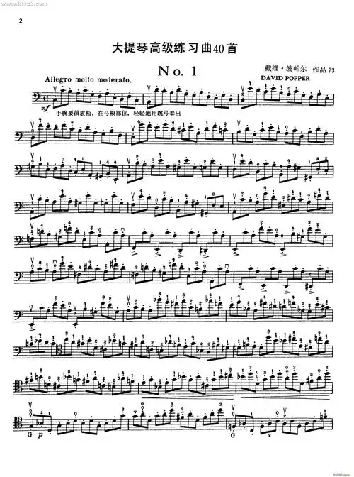 波泊尔大提琴高级练习曲之一