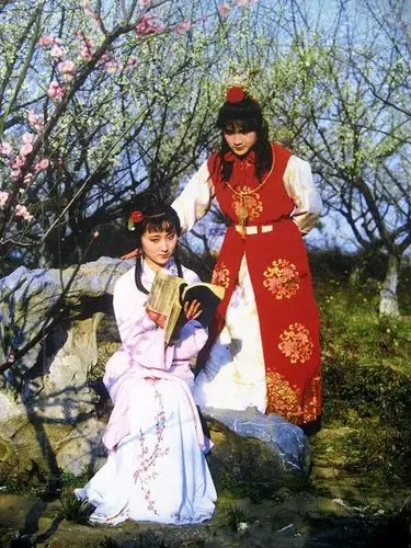 《红楼梦》读后感系列:《世外仙株寂寞林》, 执笔:吉雨桐 - 美篇