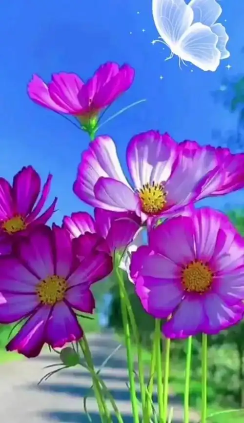 鲜花争艳,美景如画,令人心旷神怡_网易订阅