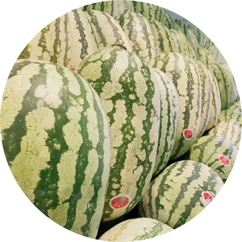 宁夏石缝瓜1.28元/斤