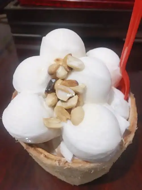 椰子05雪糕
