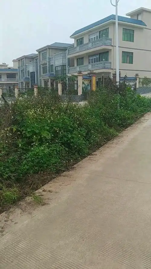 现在农村的房都这样了吗?