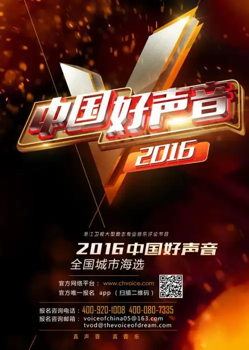 中国新歌声海选辑