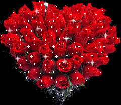 玫瑰伊人*一片冰心在玉壶.