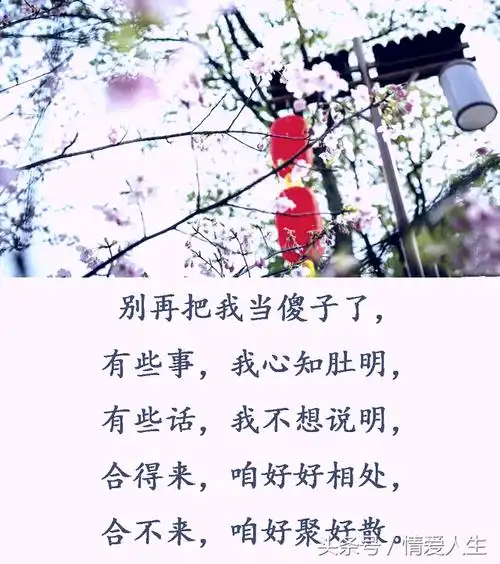 请不要拿我当傻子