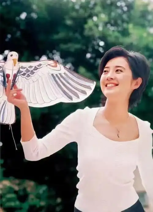 许戈辉丁健个人资料简介(丁健前妻为何败给许戈辉)(22)