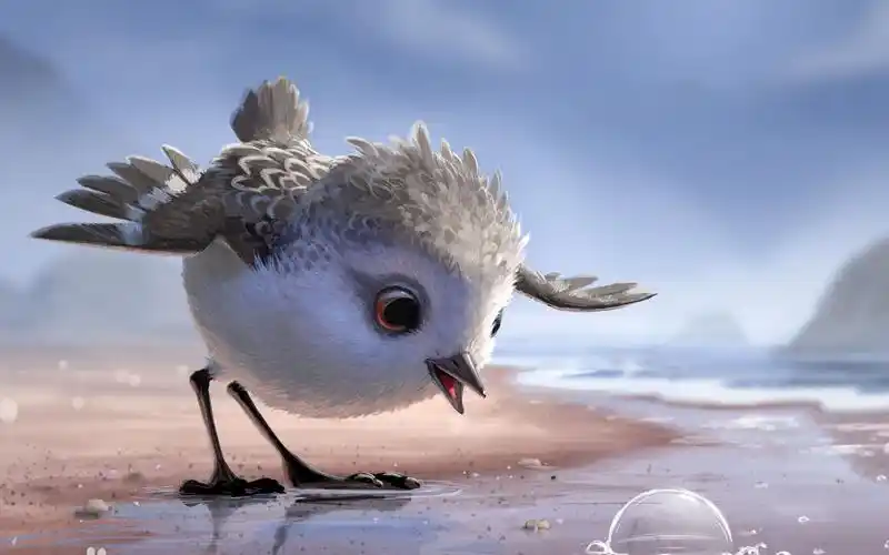 皮克斯2016动画短片鹬