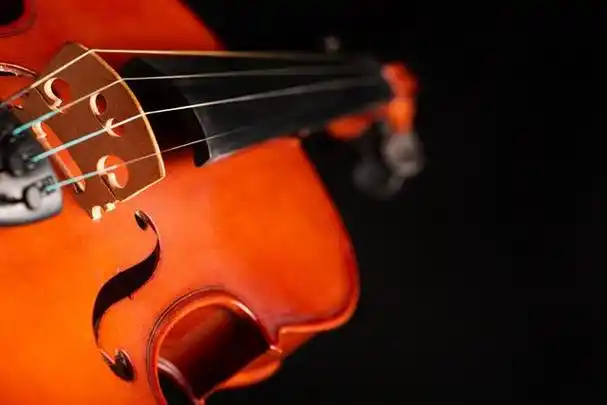 保护小提琴的10个重要方法