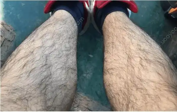 陈晨科普:为什么有的男人会长胸毛?