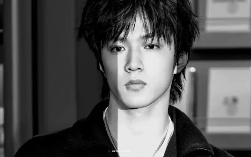 【刘耀文】我十八岁的狼王!这组黑白真的绝了!