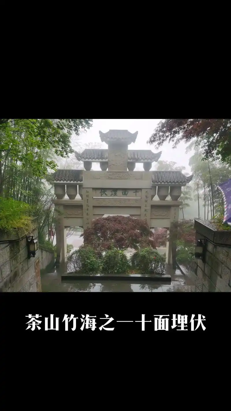 《十面埋伏》唯一国内取景地—茶山竹海 - 抖音