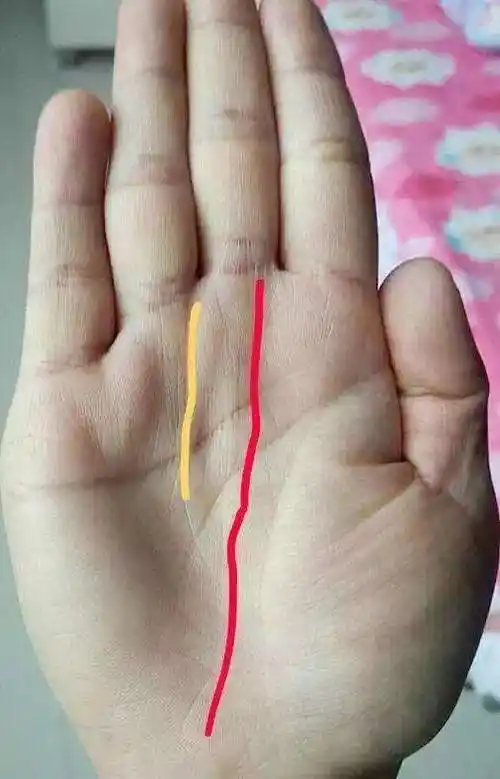 富婆命的手相天生旺夫40岁后富到流油