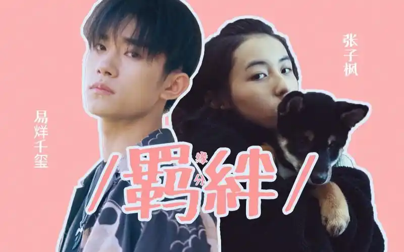【易烊千玺x张子枫】絆/缘分