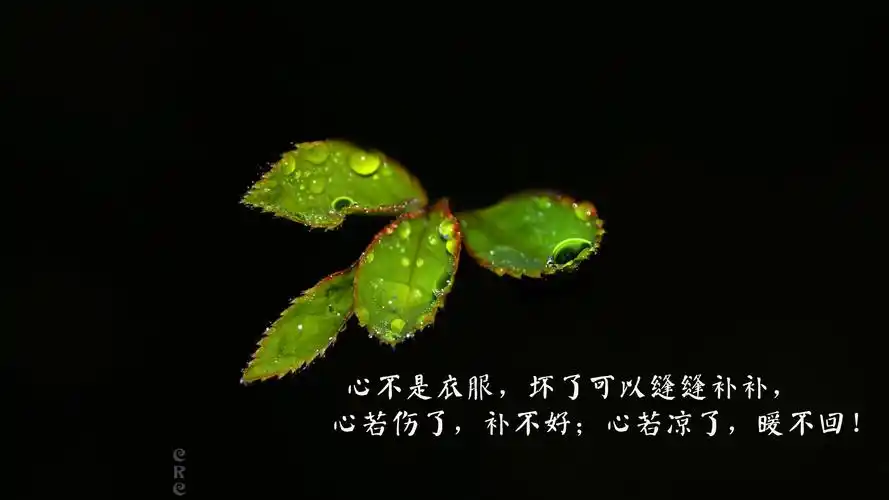 对一个人心凉了的说说图片