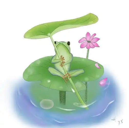 荷叶上打伞的青蛙