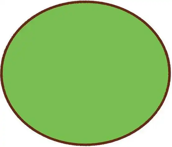 圆形简笔画绿色边框