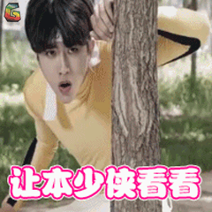 我才不会被女孩子欺负呢 叶麟 蔡徐坤 搞怪 让本少侠看看 soogif soo