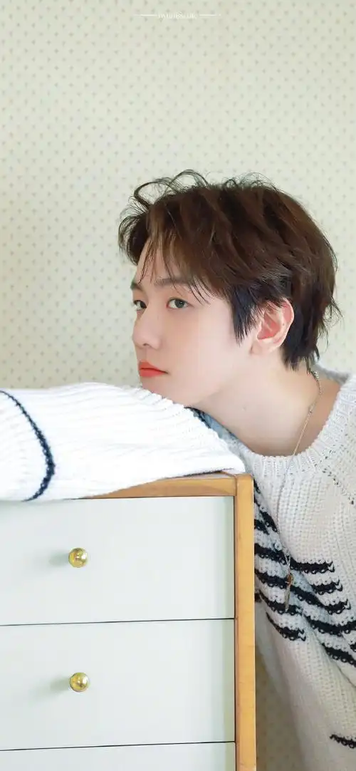 边伯贤费加罗封面##边伯贤