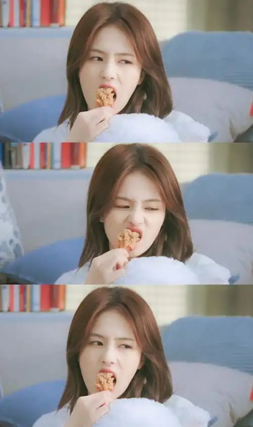 半是蜜糖半是伤|江君|白鹿