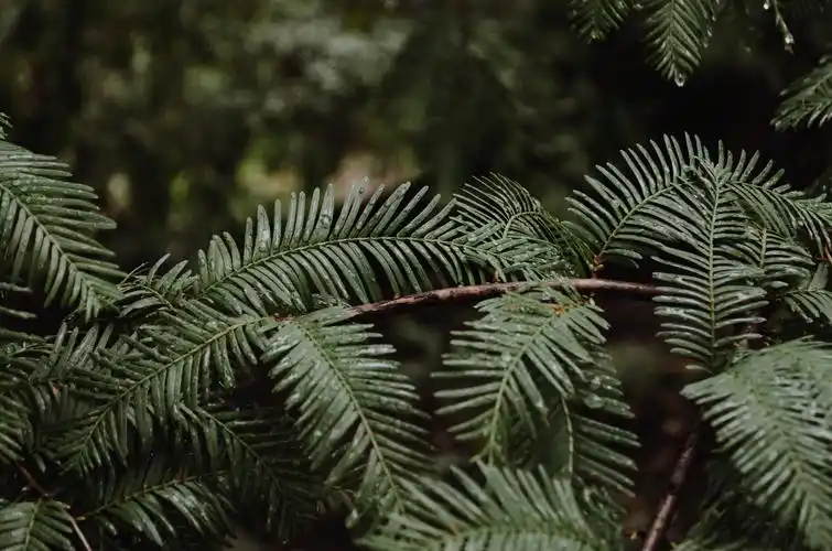 壁纸 意境 电脑壁纸 风景 聊天壁纸 平铺打竖 高清