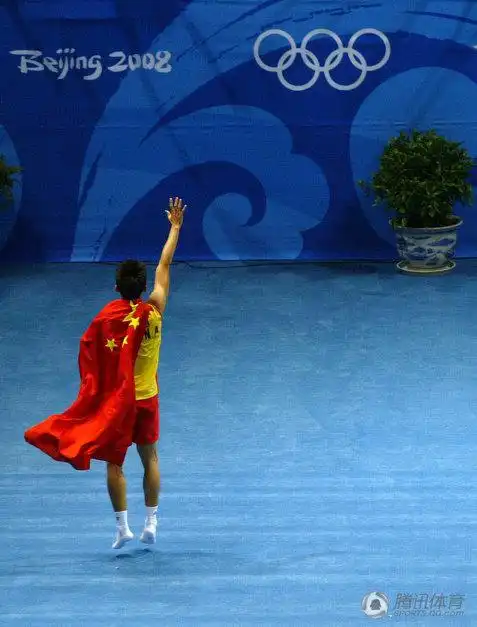 2008那一年,北京奥运会,林丹夺冠后身披五星红旗的背影让无数人印象