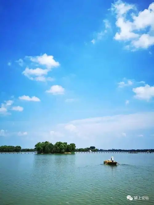 颍上夏日景色美