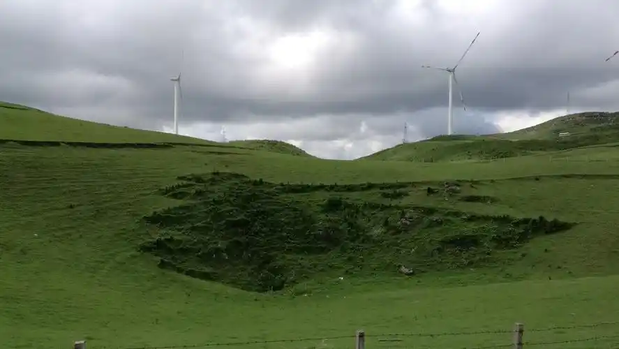 云南的高山草甸